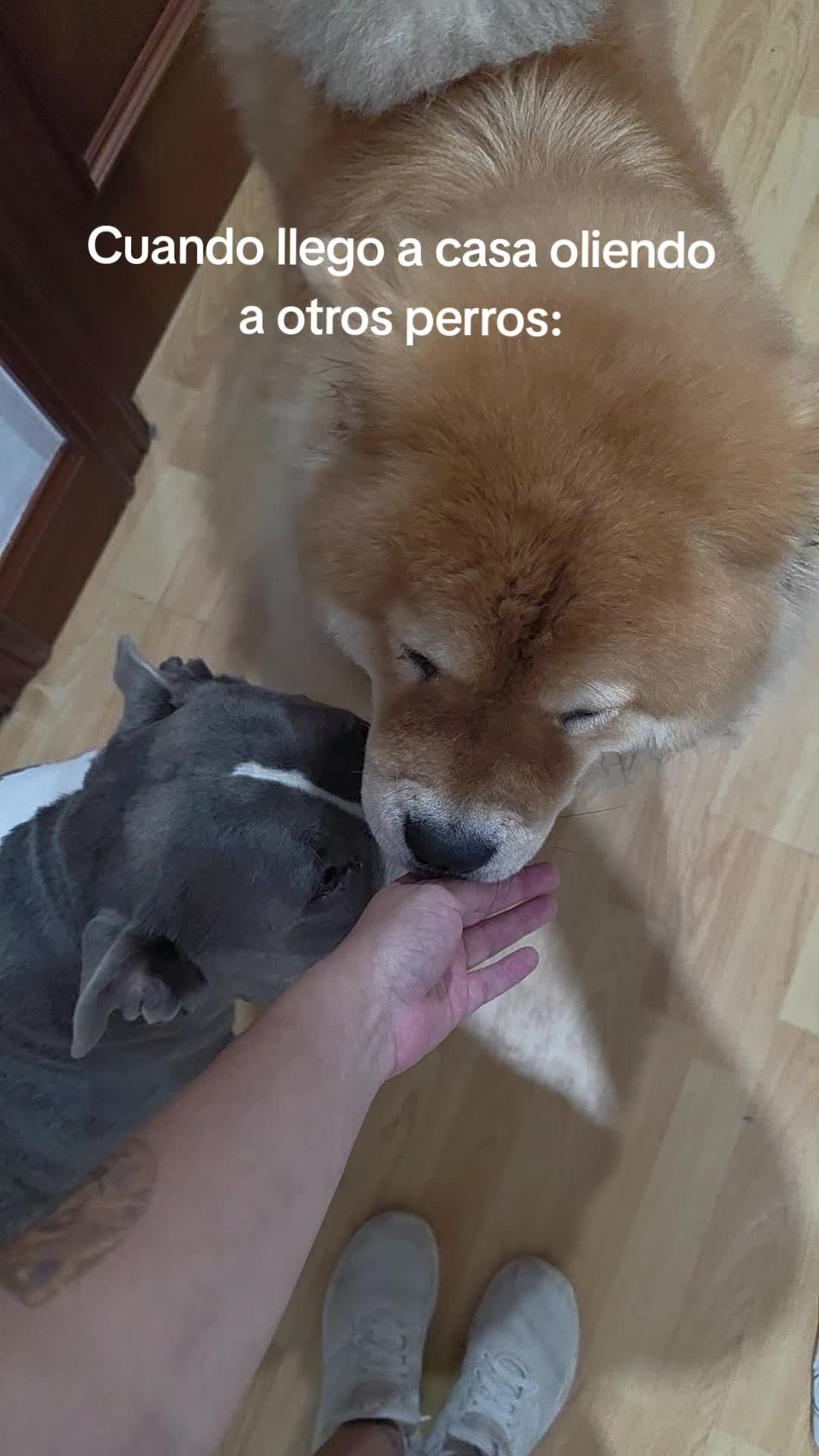 @Kenya y Daddy🐶