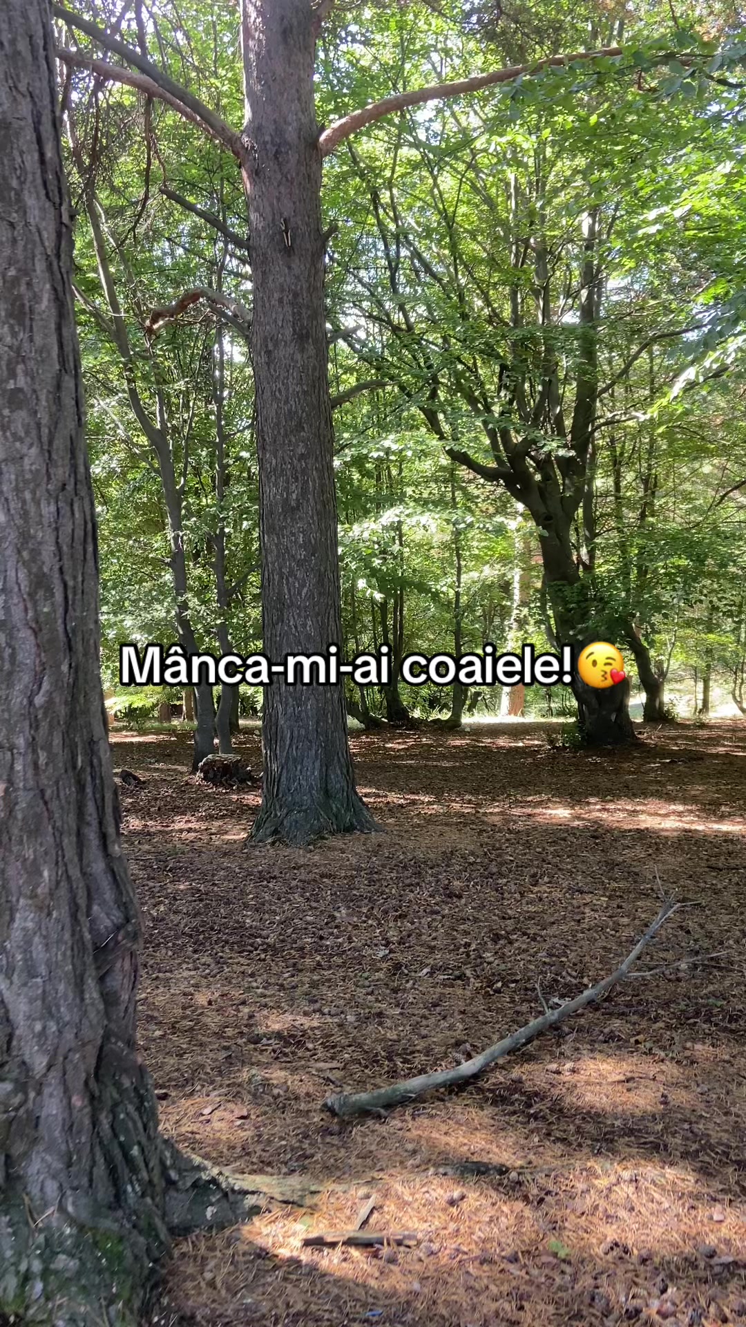 @iosuntocti