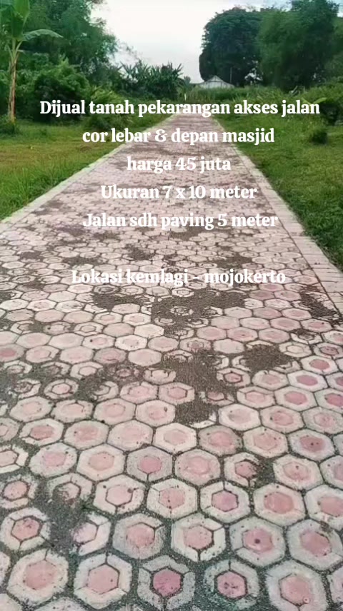 @"INOD"