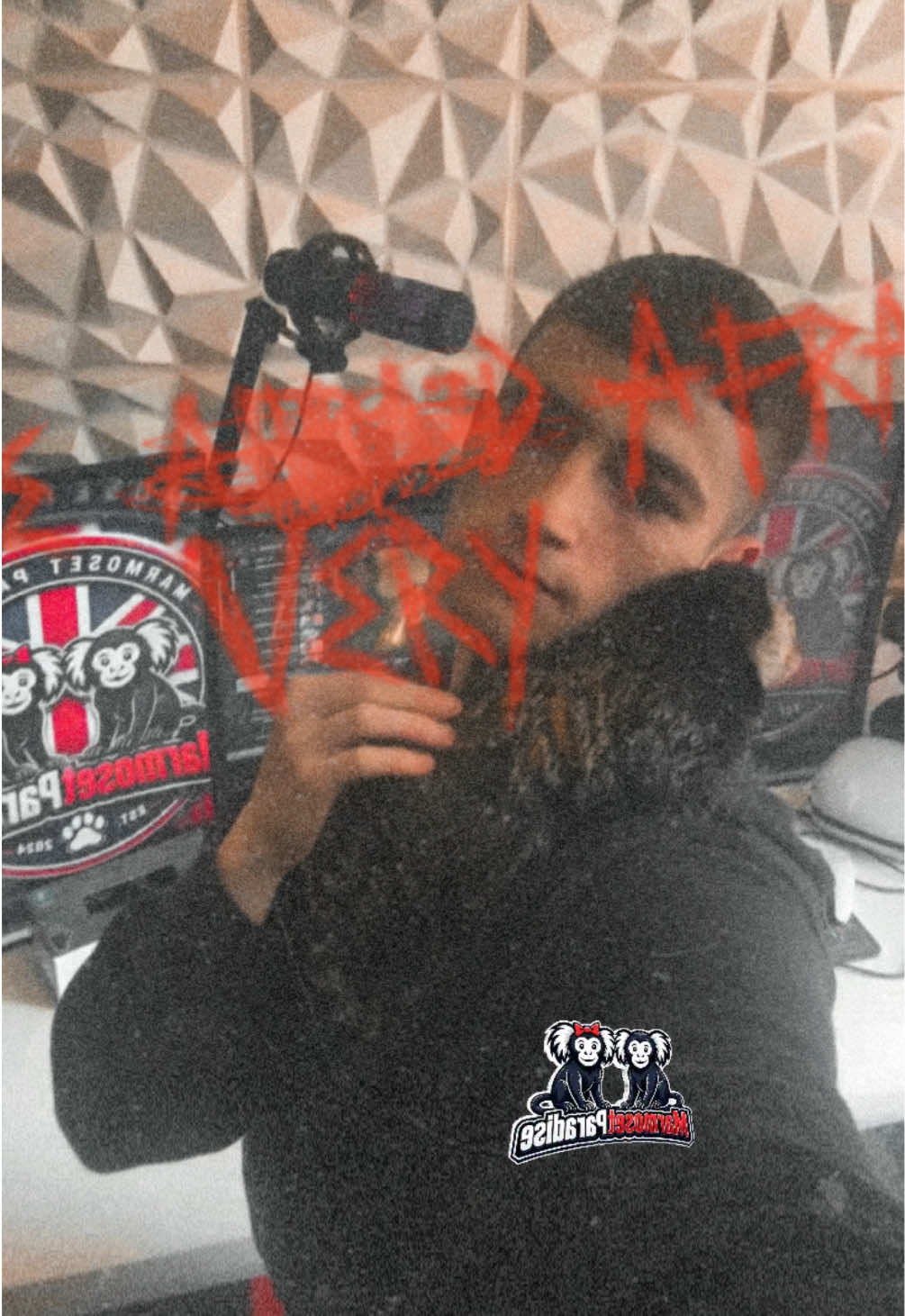 @ᴍᴀʀᴍᴏꜱᴇᴛ ᴘᴀʀᴀᴅɪꜱᴇ 🇬🇧🐒