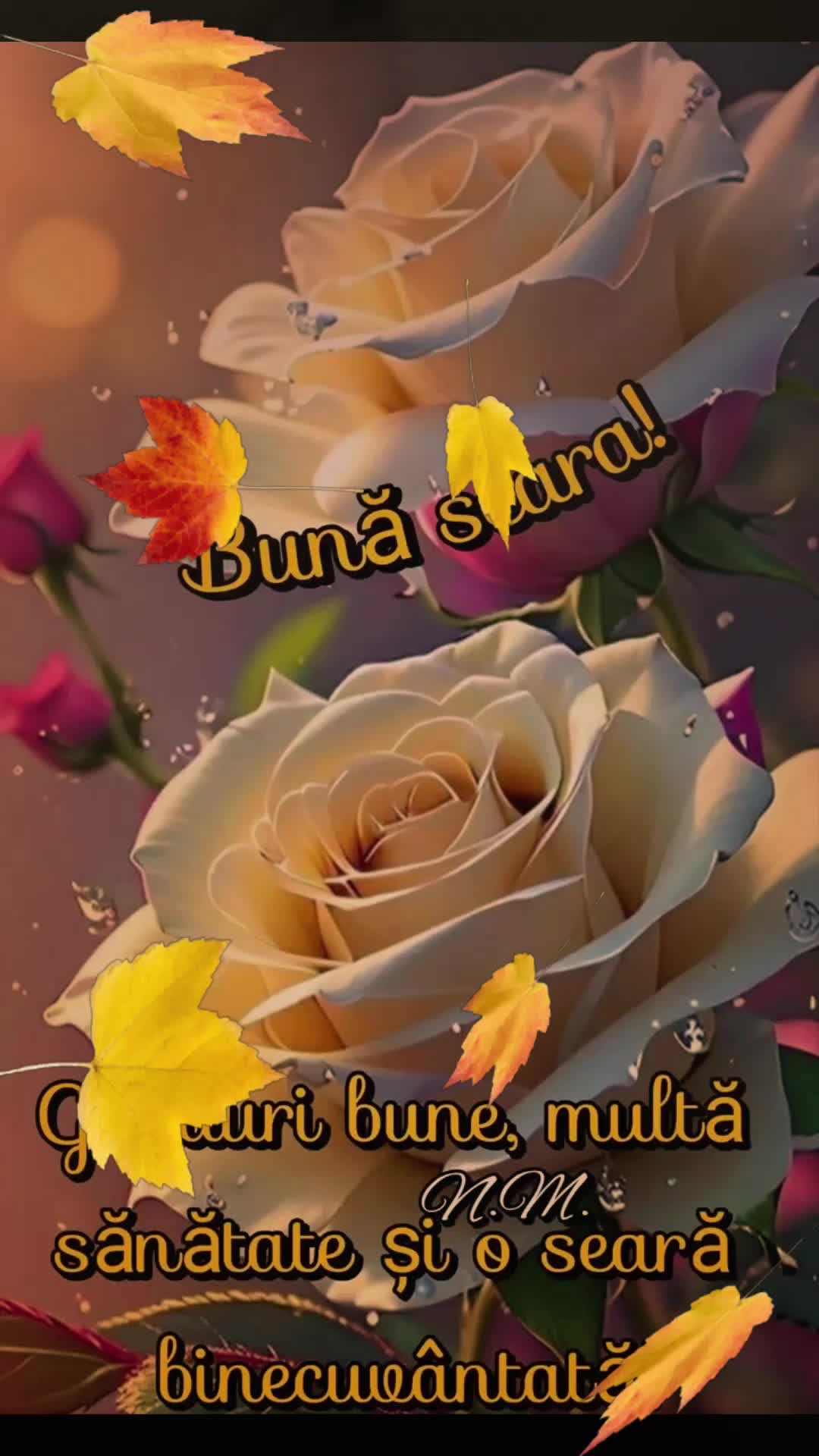 @Nicolae Iamandi Marin