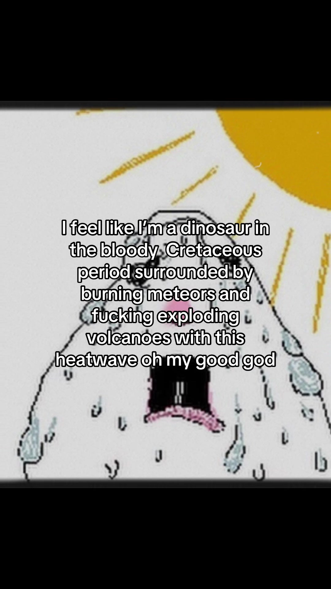 @🌟