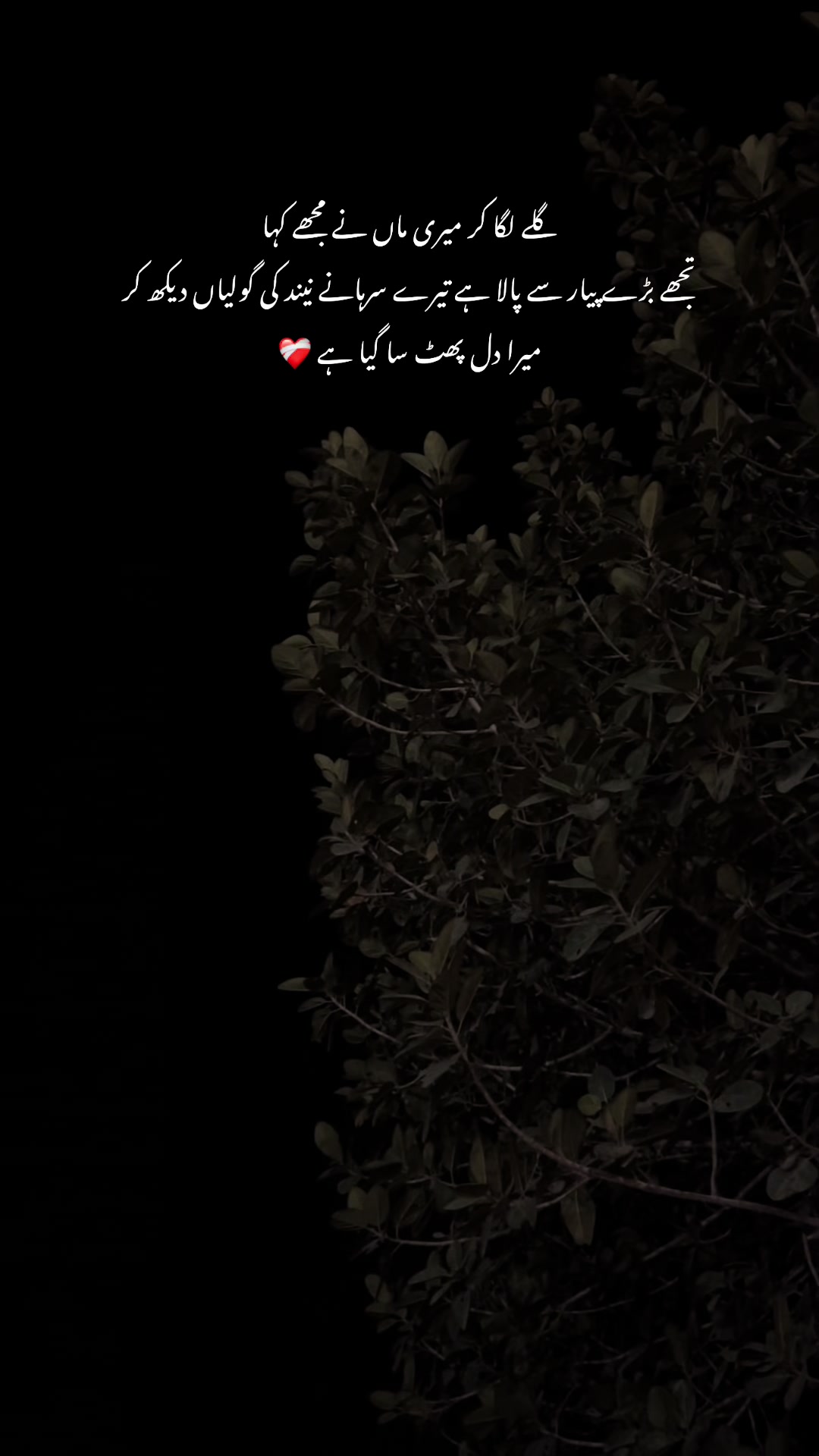 @𝘚𝘢𝘮𝘪𝘪_🕷️