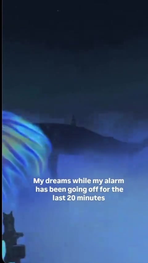 @zayno