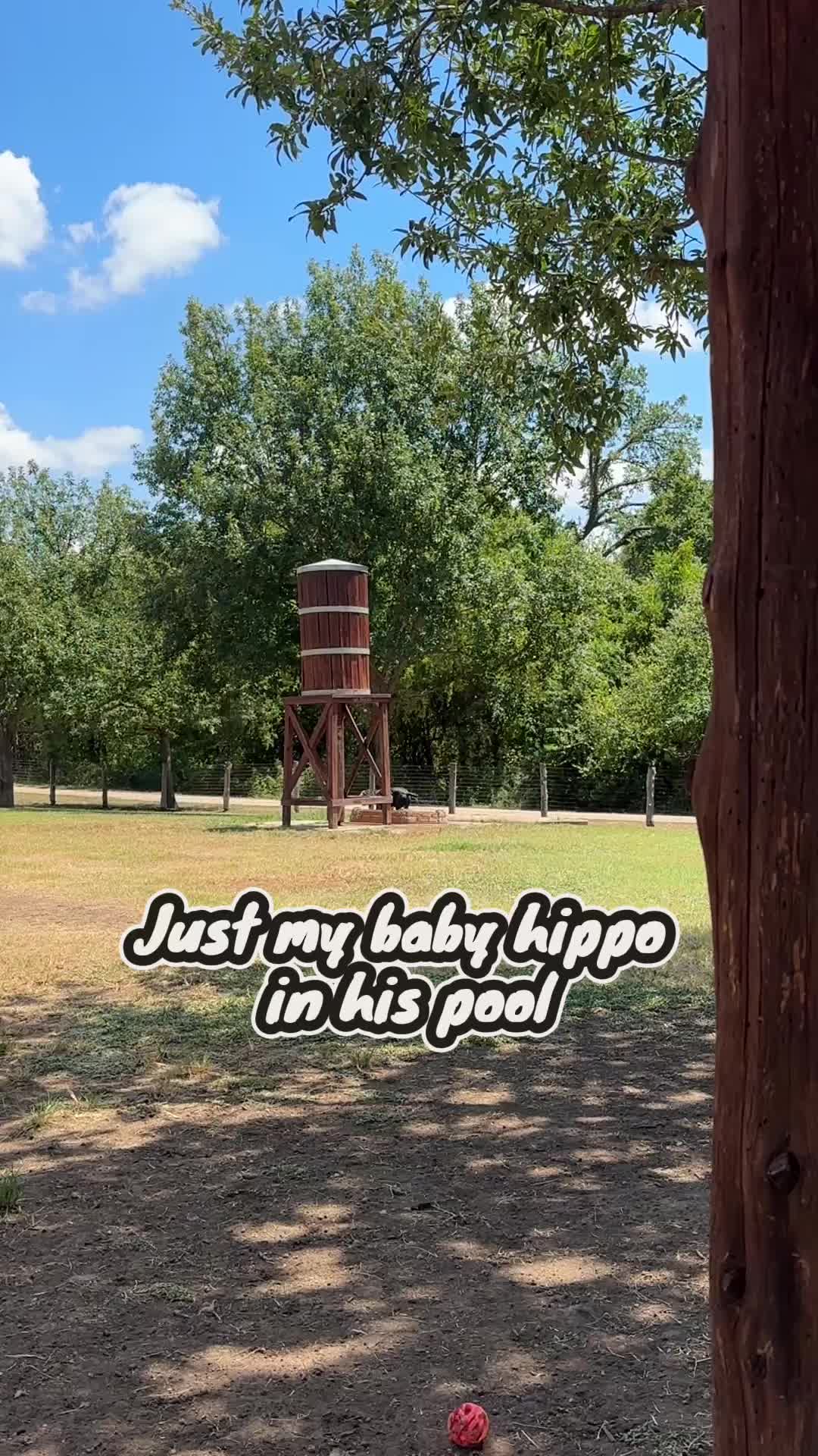 @krissymercer