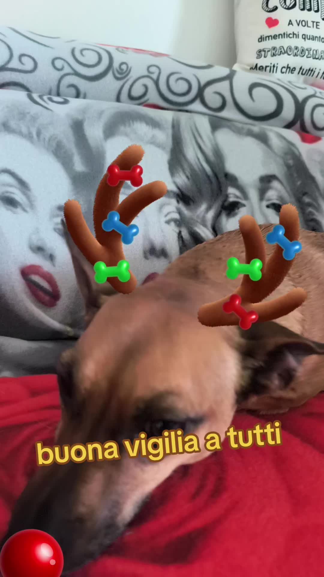 @Lea
