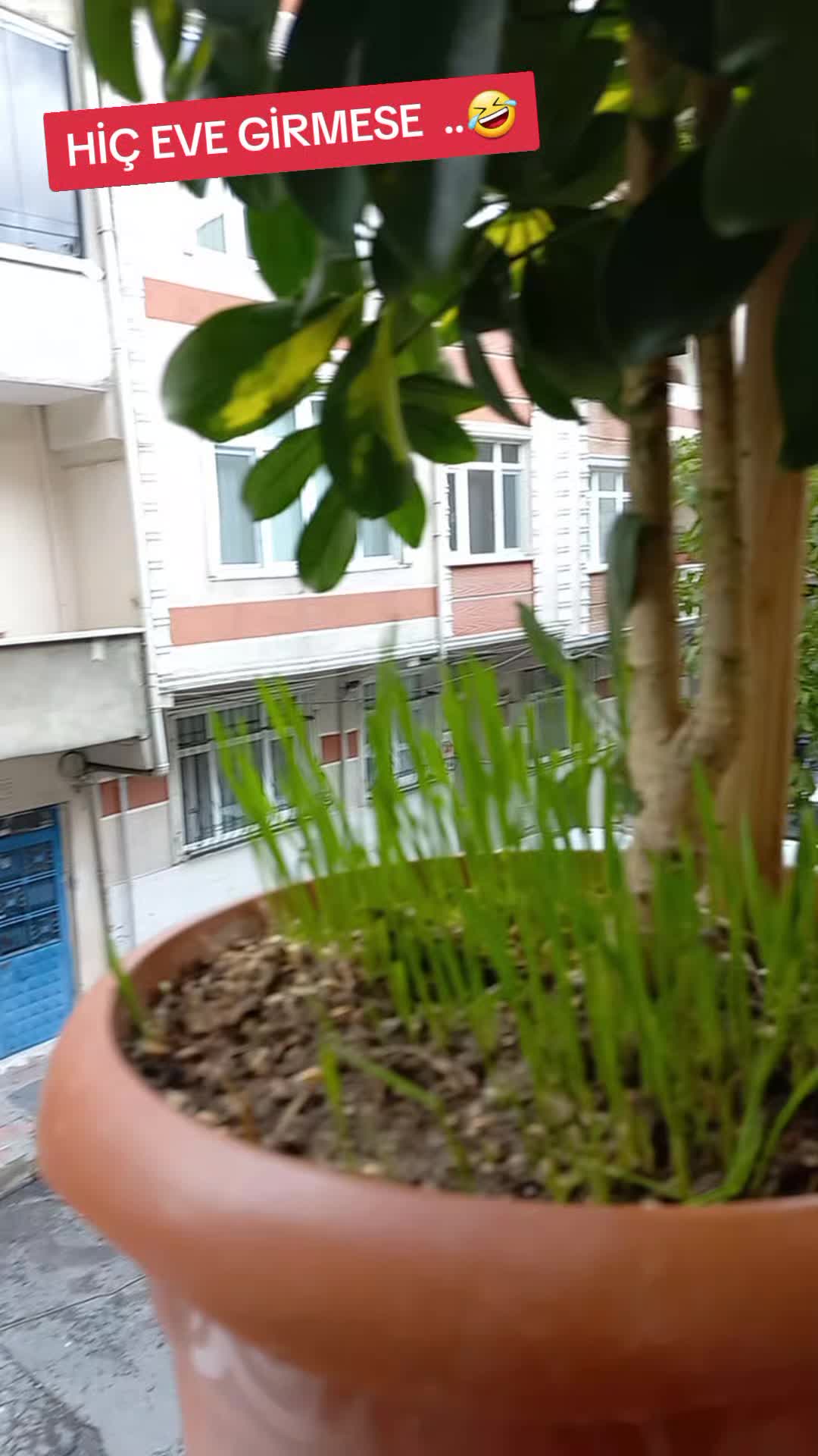 @&Ccedil;&ouml;p&ccedil;&uuml;lerKrali&ccedil;esi.52..Yedek.💔
