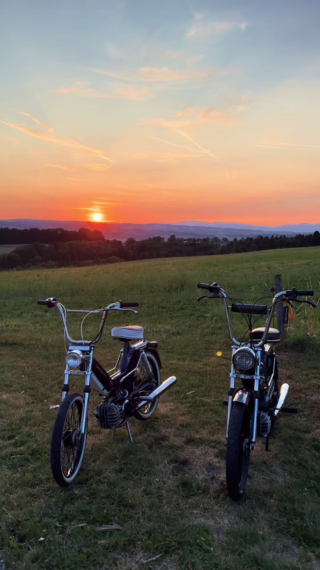 @Black_Puch_swiss