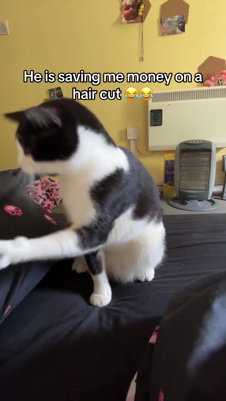 @Paigeyy