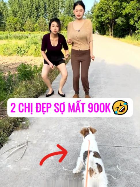 @Bin hài hước