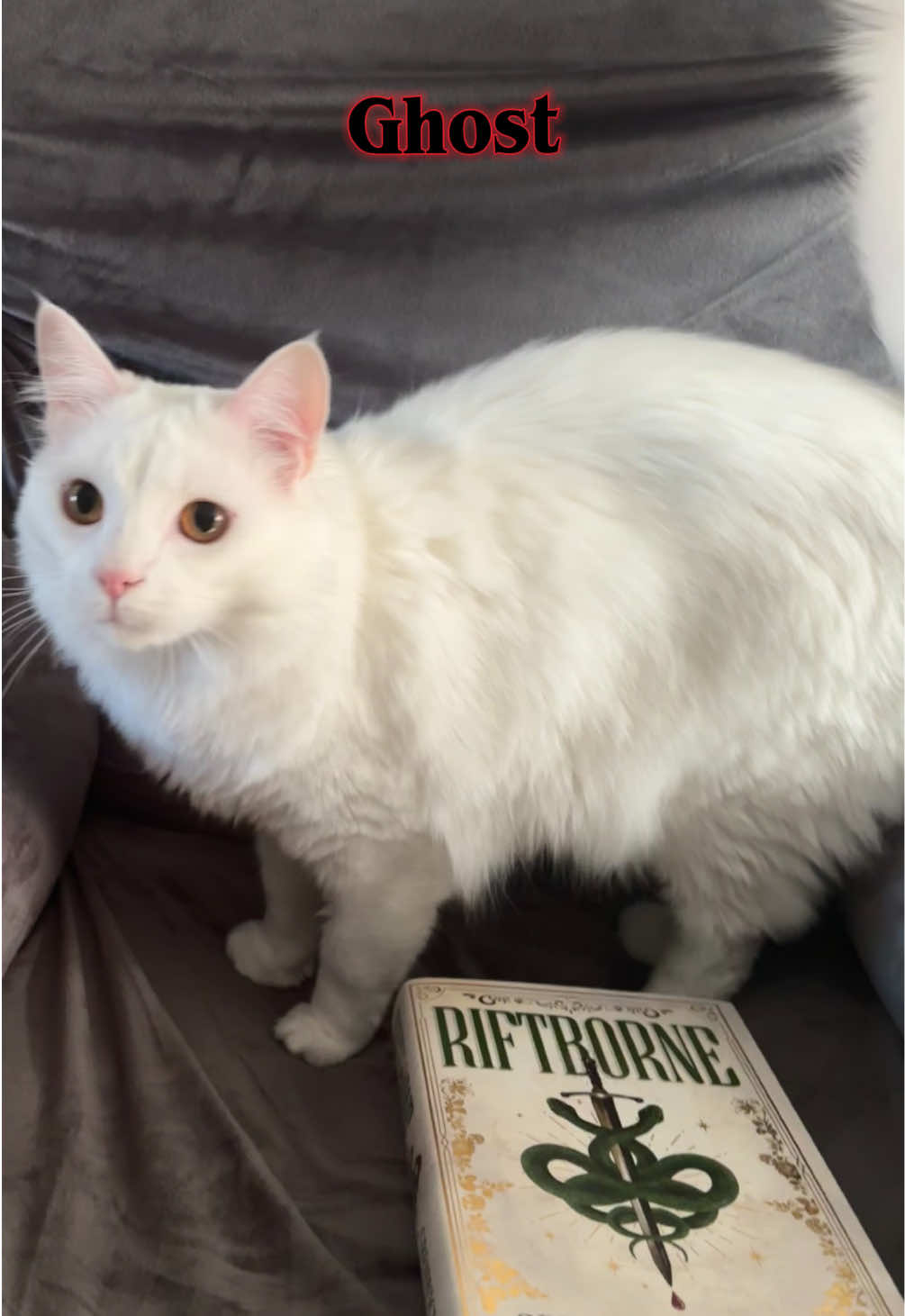 @Emma