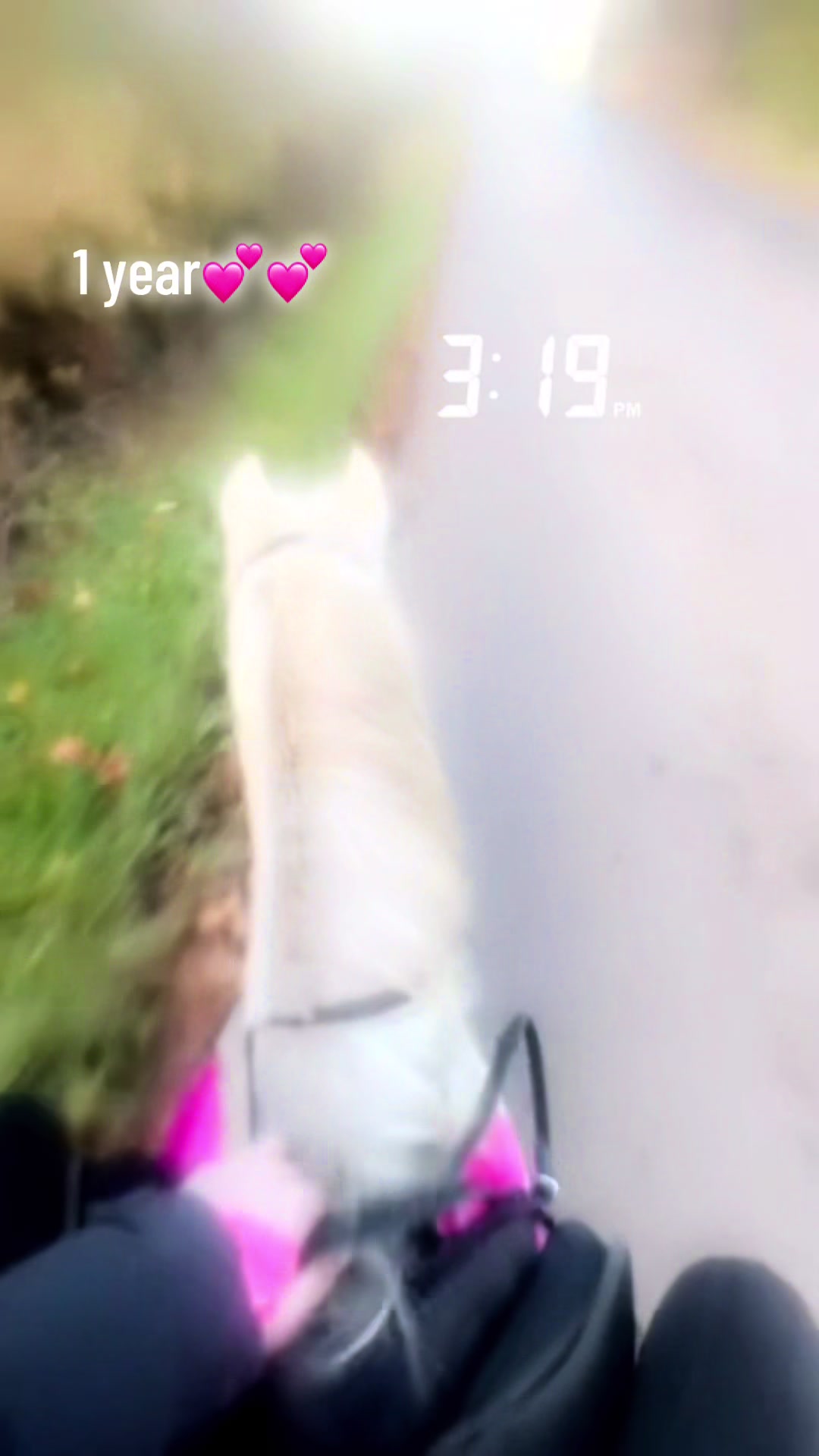 @lilys.riding🎀🐴