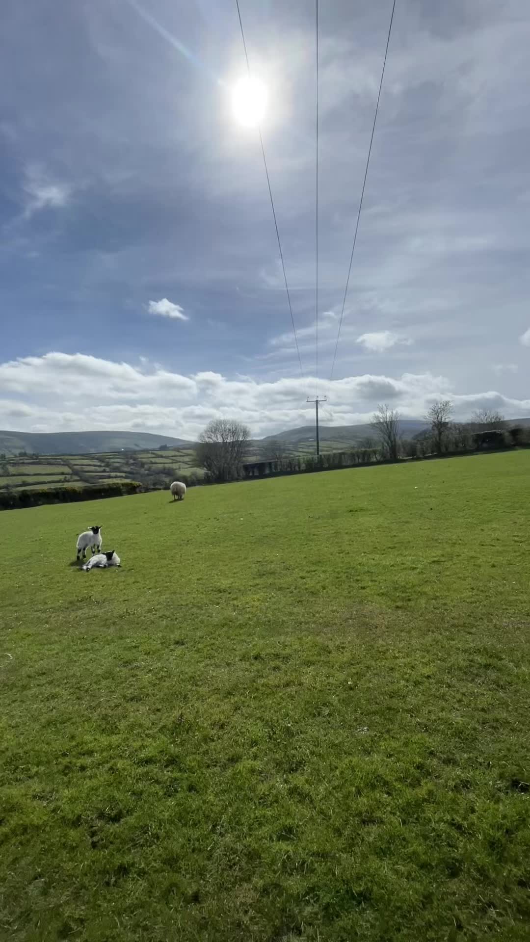 @conorquinn135