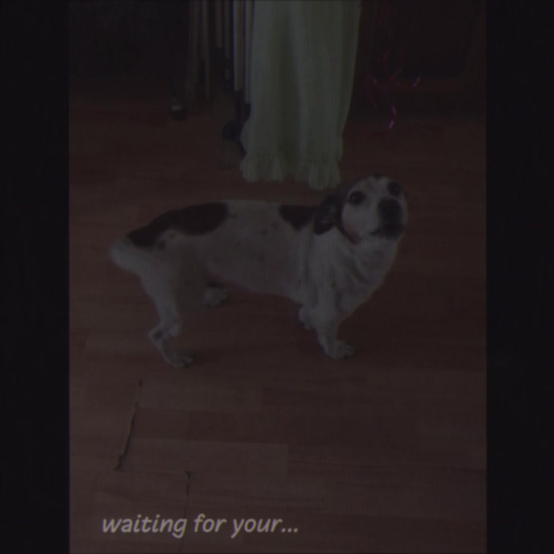 @userneverfound