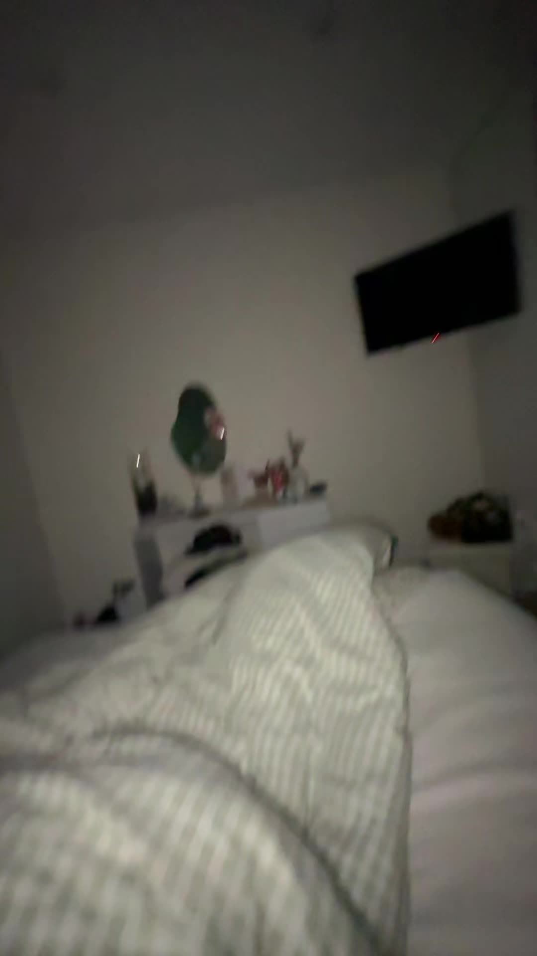 @abbymitchell