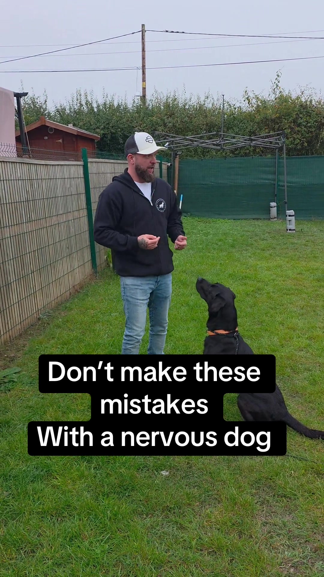@SouthendDogTraining
