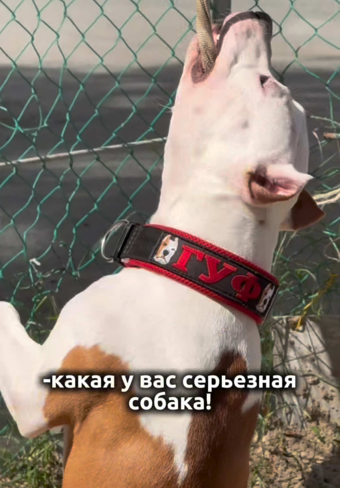 @ТГК- АСТ ГУФ