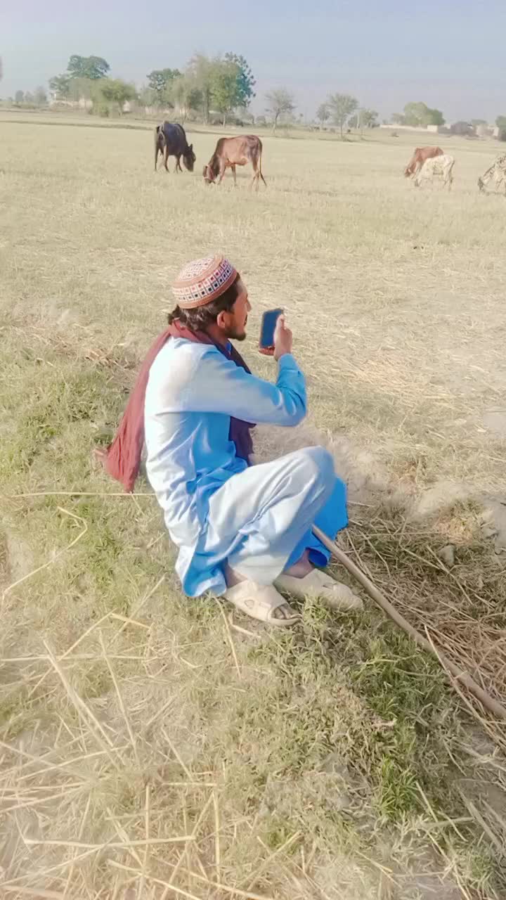 @پینڈو آفیشل🤪🤪