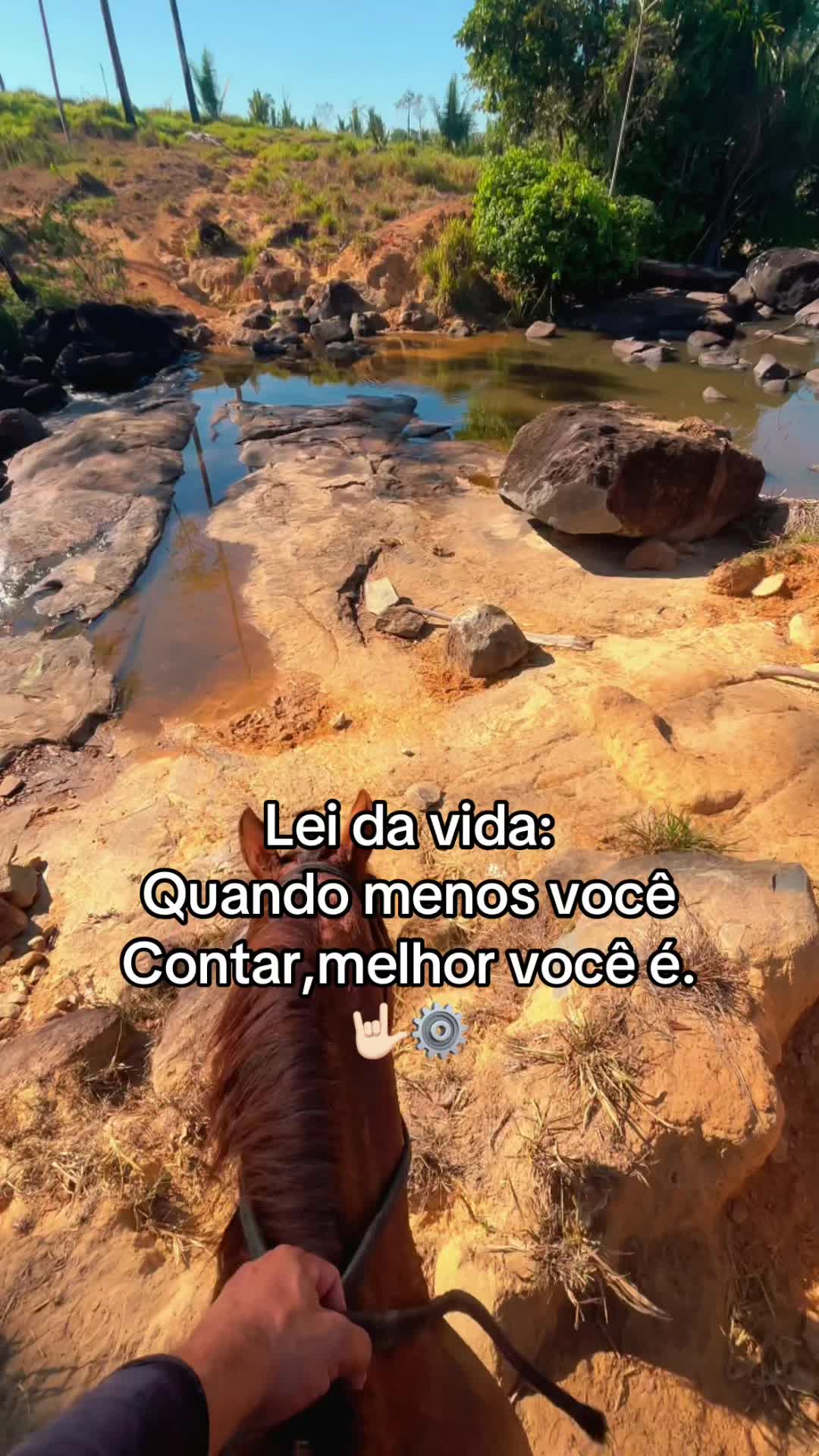 @lukasvieira_🍀