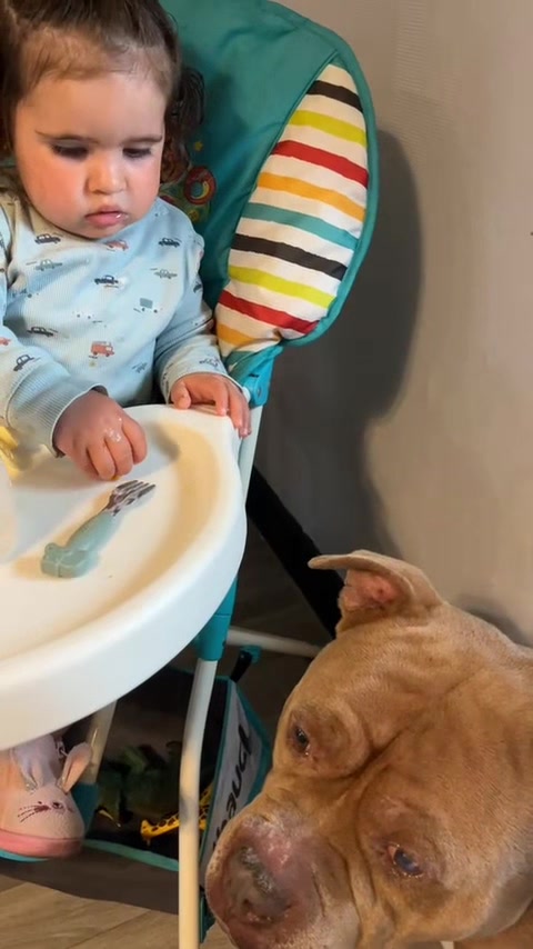 @🧩team bully🐶🧸