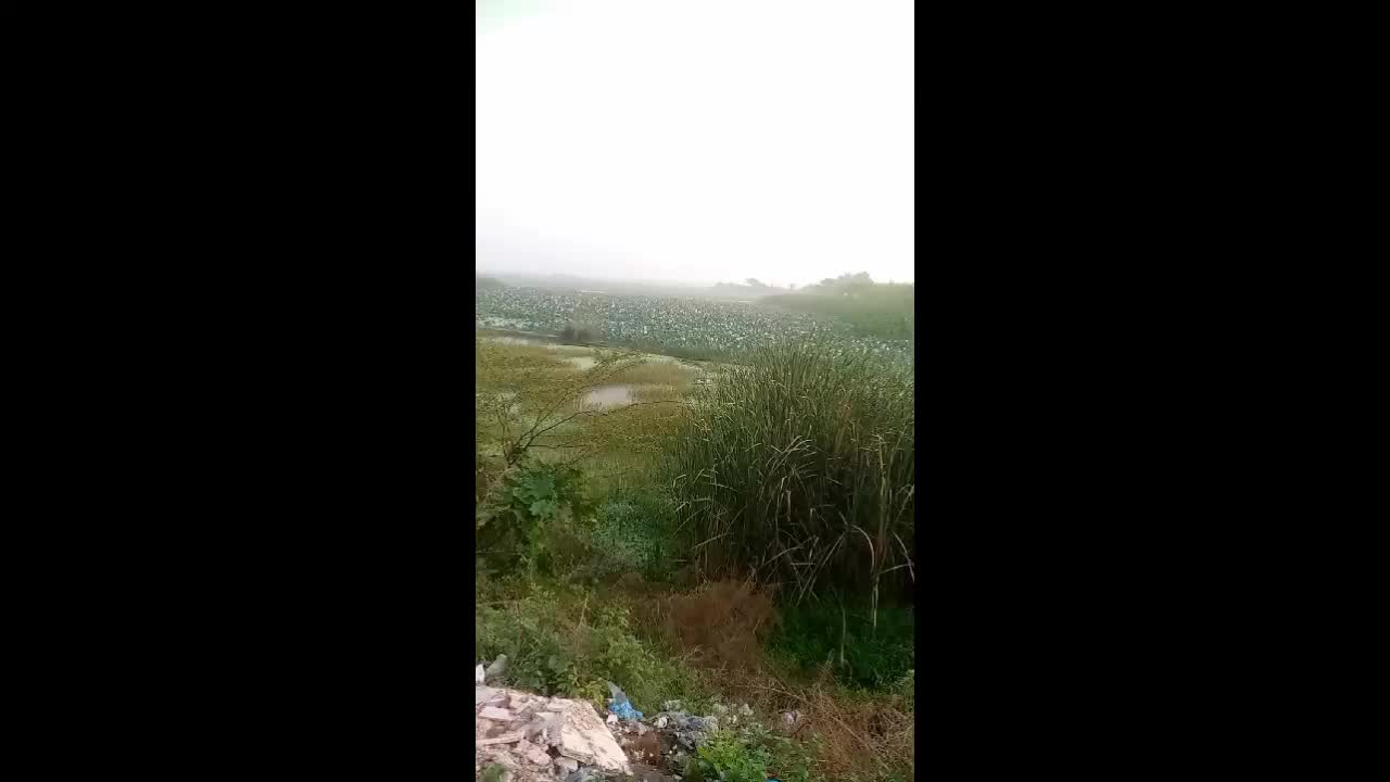 @wajid ali bop
