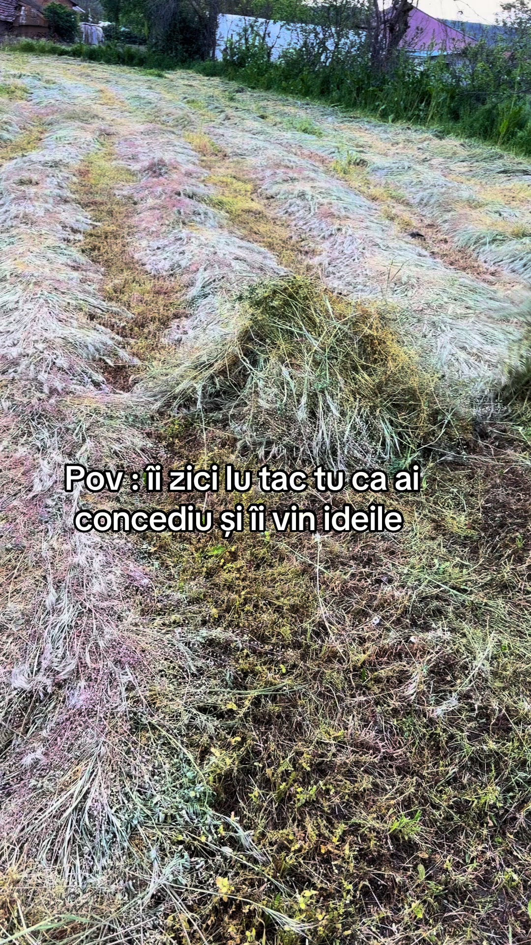 @Andreea