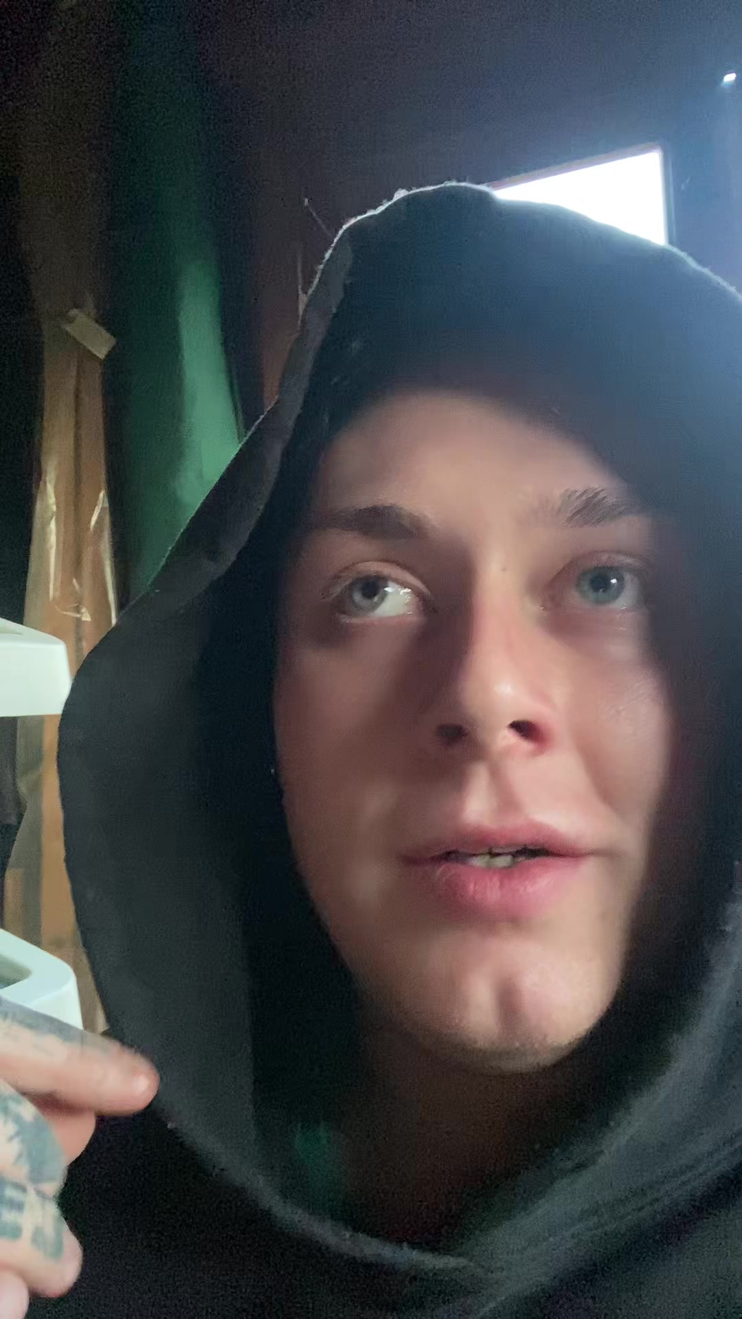 @knoxthefoxx