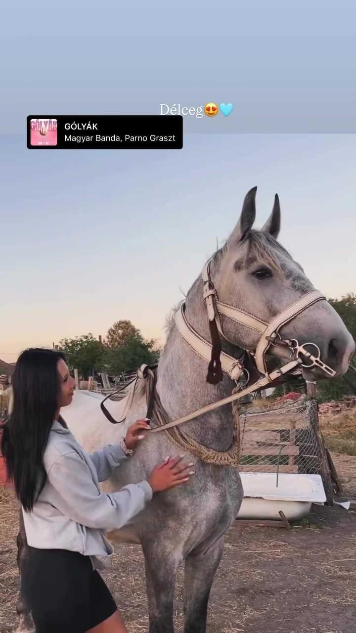 @✨laraorsos✨