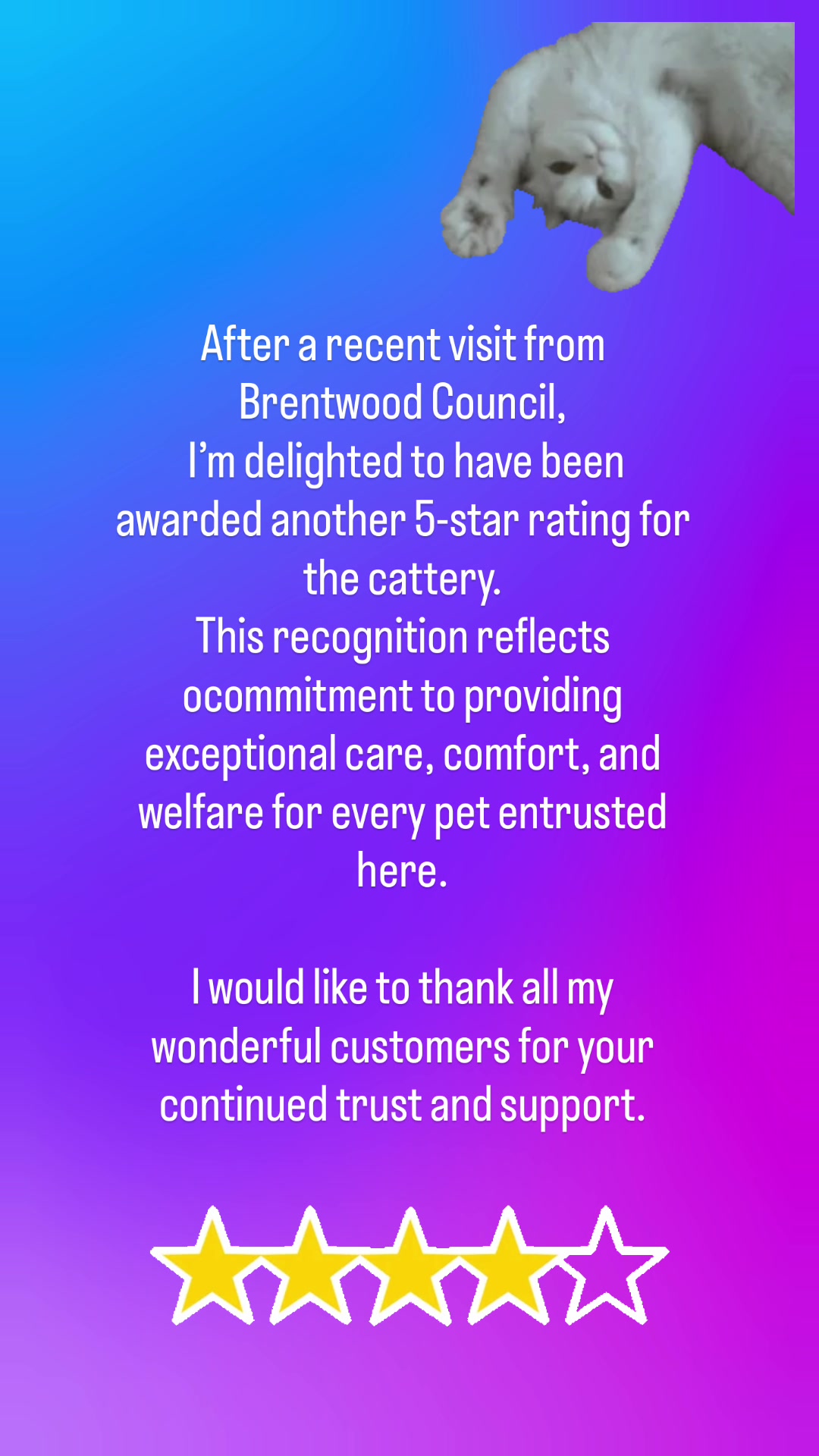 @Herongate Village Cattery