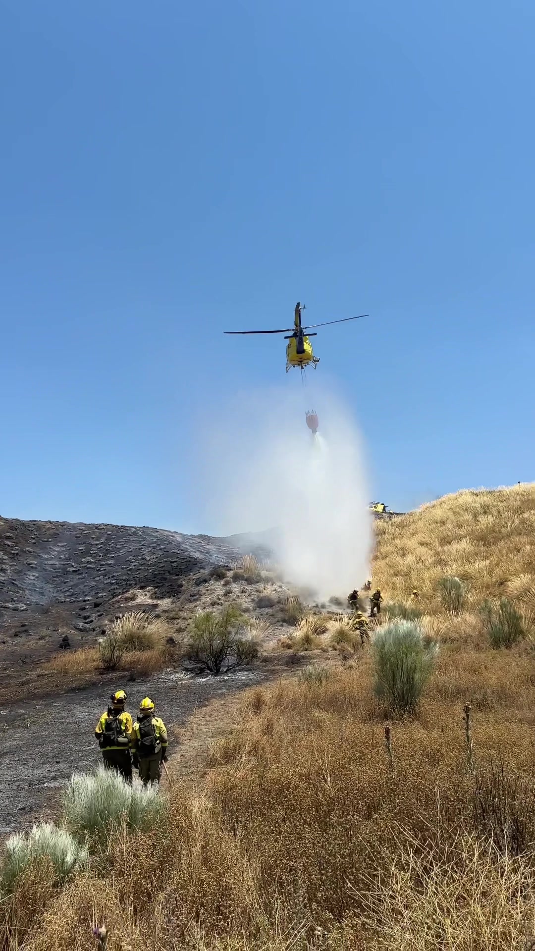 @Bombero Forestal