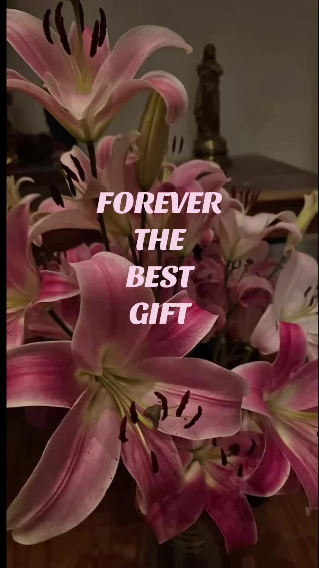 @M🇭🇷✝️🇧🇦
