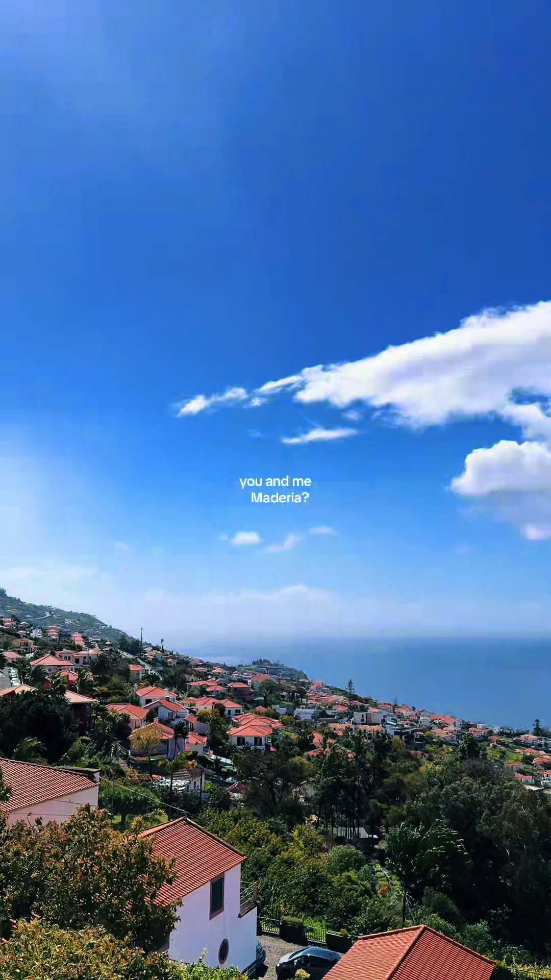@tam🍊