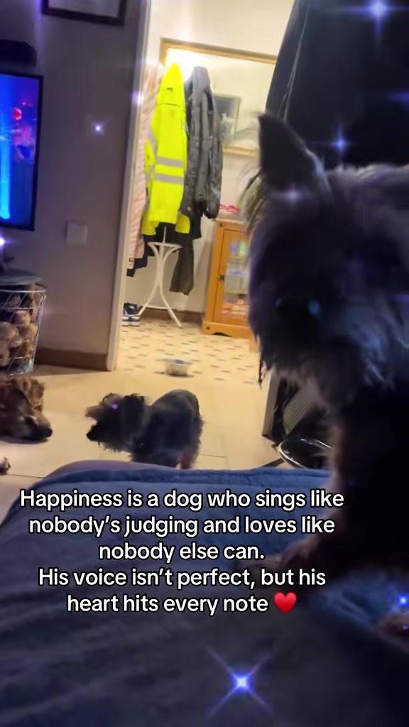 @Happy buddy