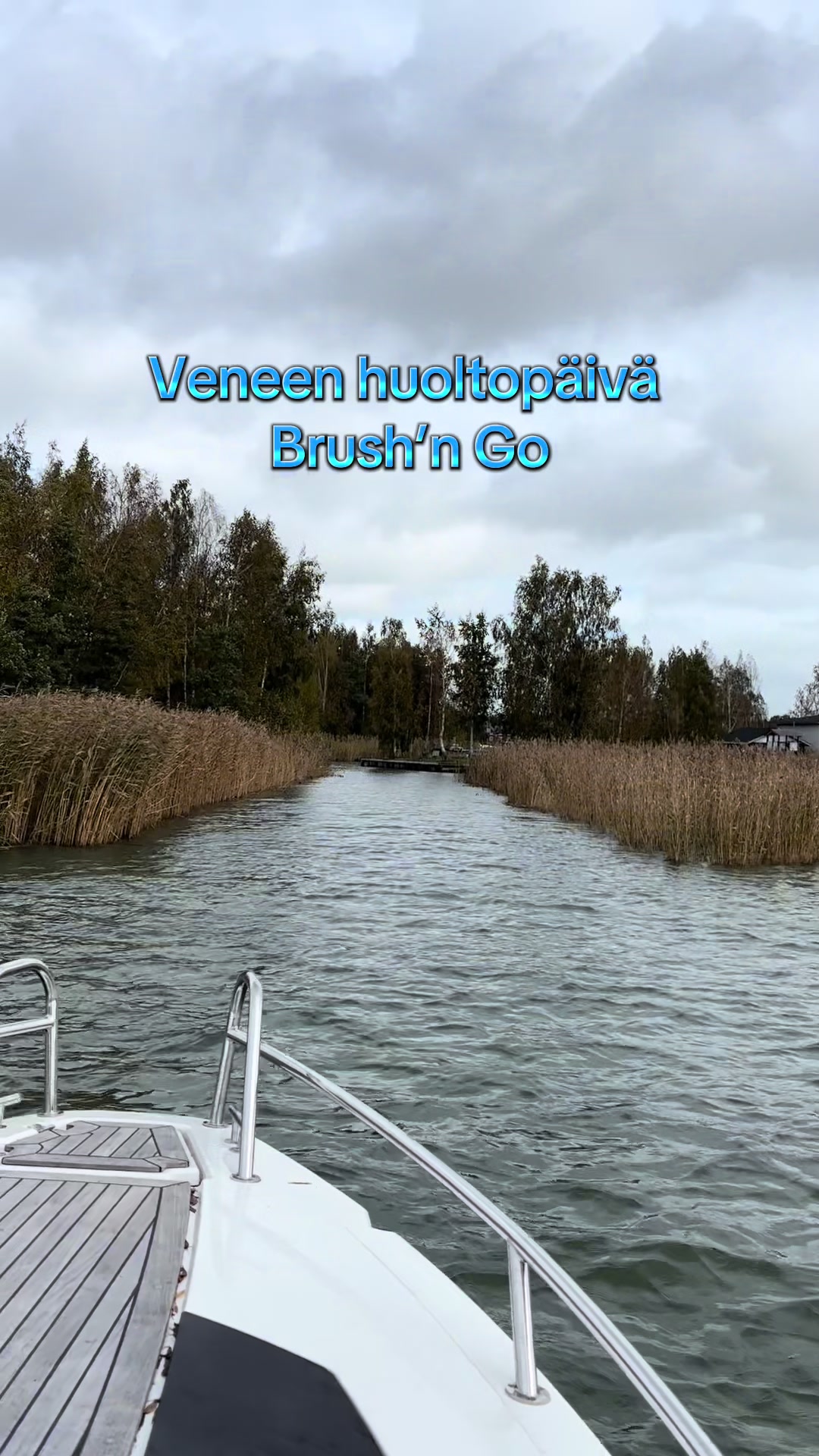 @Satu Laakso