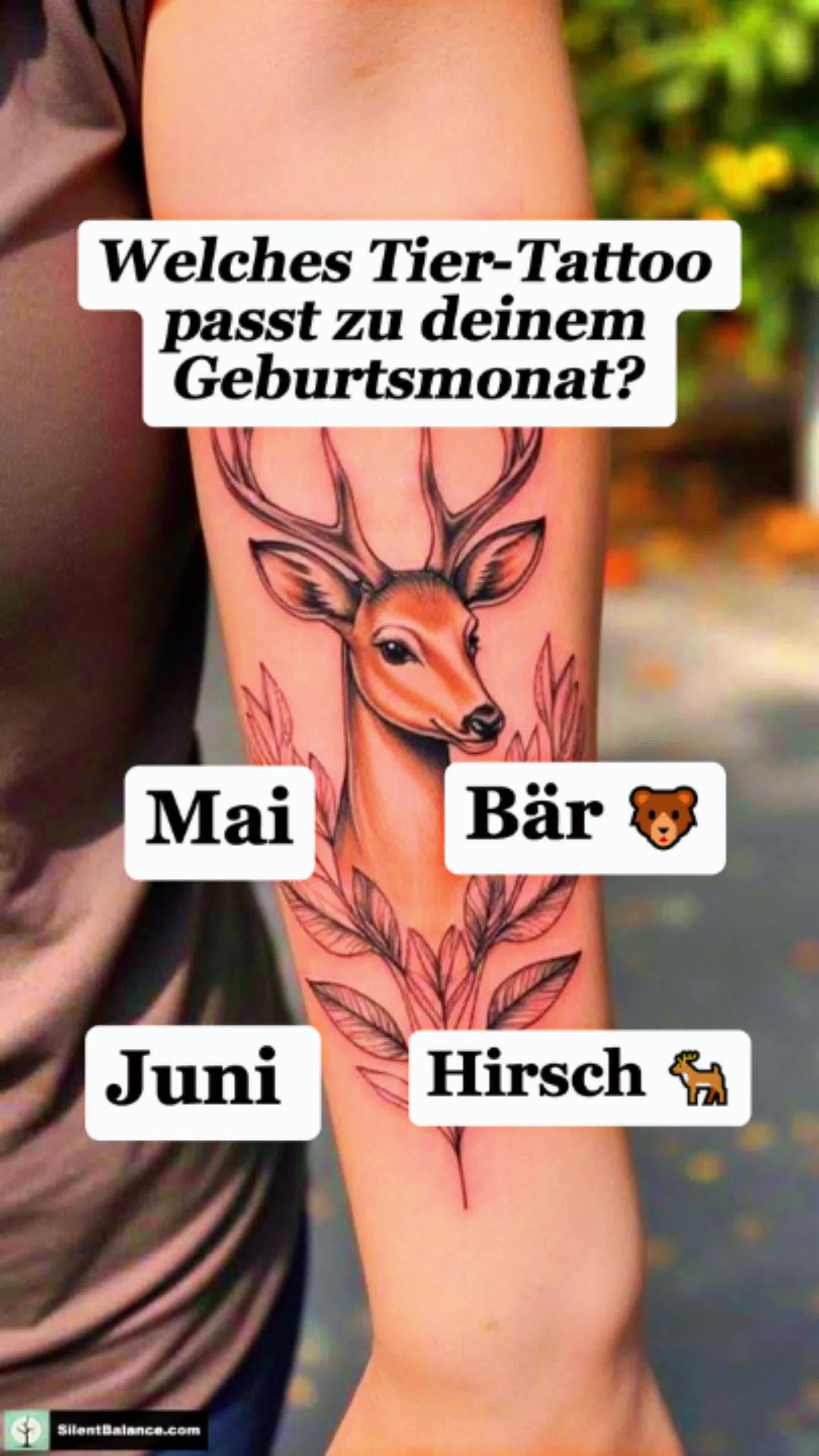 @horselife015