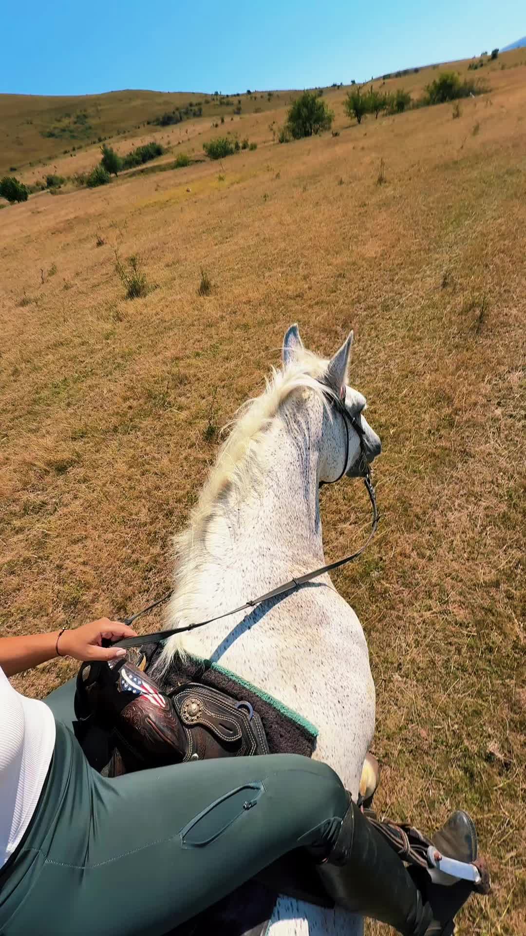 @Alexandra de la Hidalgo 🤠