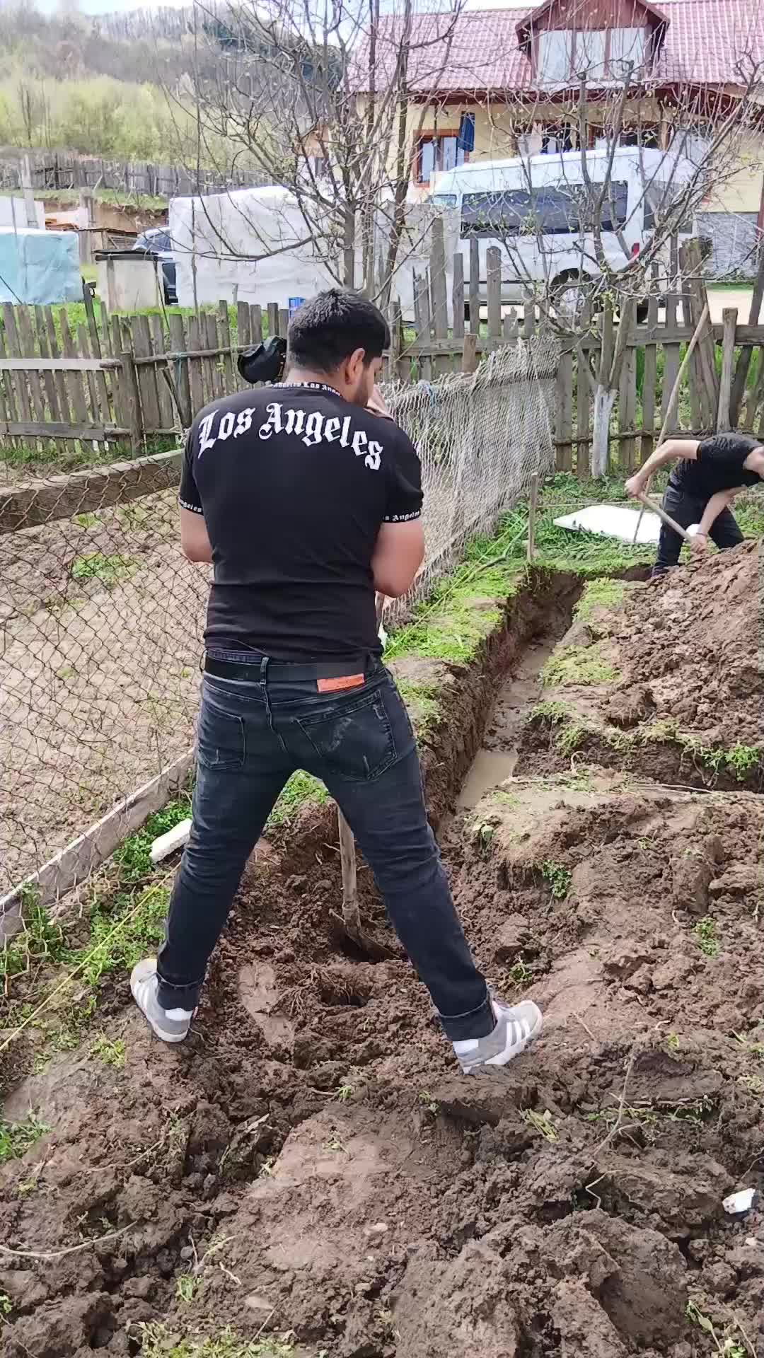 @Petrișor Allcapone