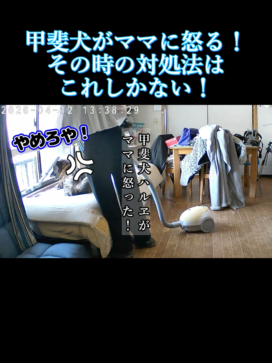 @川沿いに歩く妻サヲル