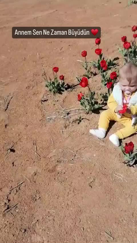@ssifa_acklnn