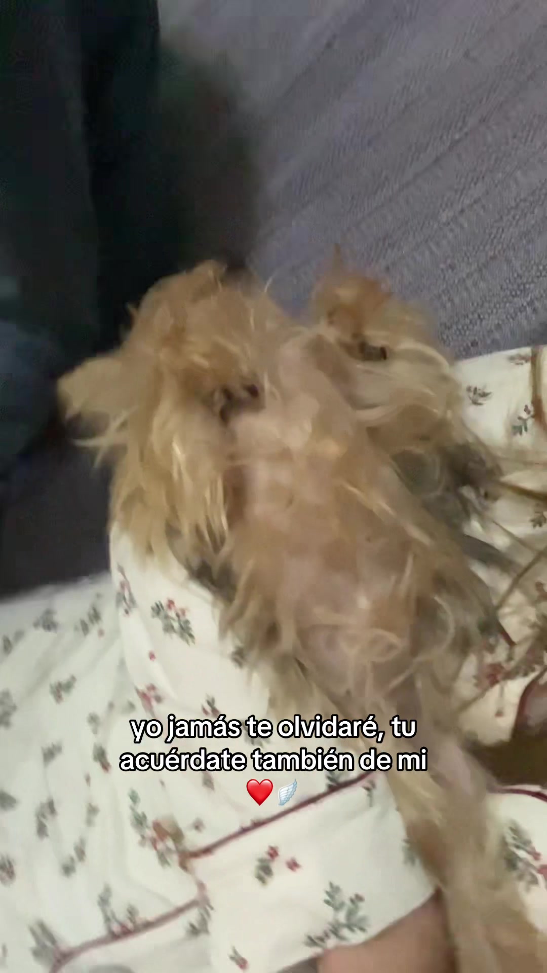 @Lidia