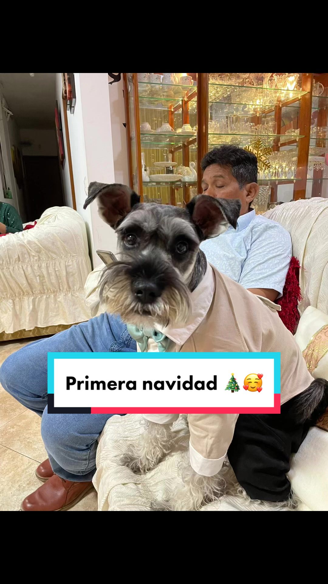 @lukah_schnauzer