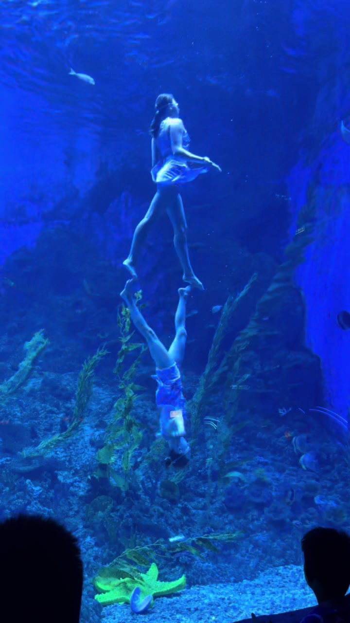 📍Ocean World Aquarium #guangzhou | thatfabgirlkim (@thatfabgirlkim)