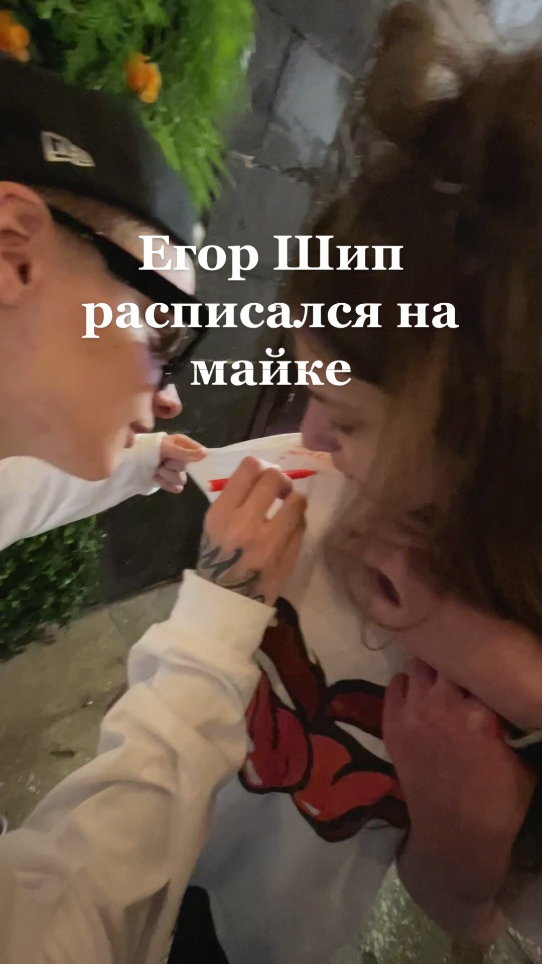 @VOLLIK
