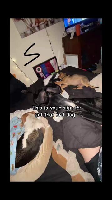 @em