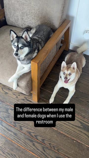@lifewithkleekai