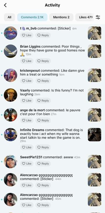 @AnimalWelfareGuy