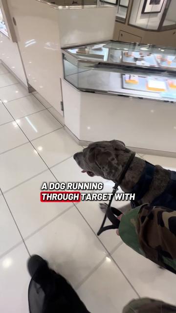 @lex 🐺⛓️