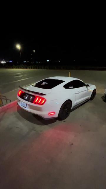 @Raysss550