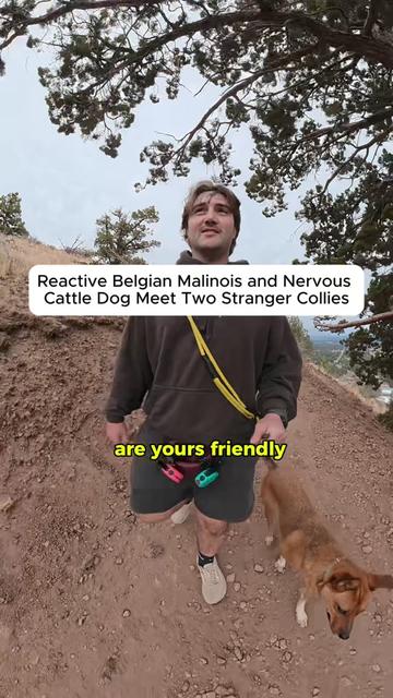 @forthedogs