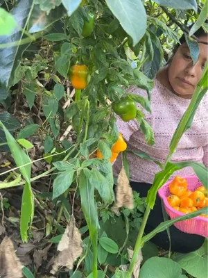 @Las Curiosidades de mamá